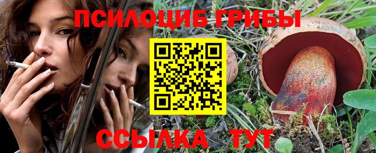 Псилоцибиновые грибы MAGIC MUSHROOMS Череповец