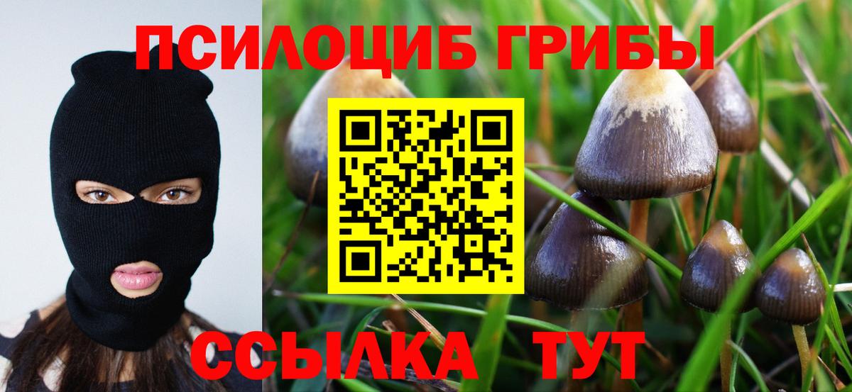 Галлюциногенные грибы GOLDEN TEACHER  Галлюциногенные грибы Psilocybine cubensis  Вход с VPN  Череповец 